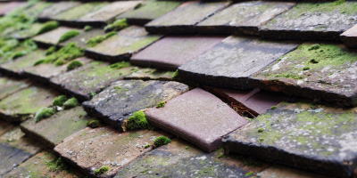 Llandawke roof repair costs